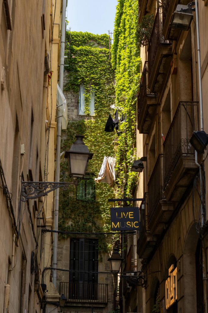 A picturesque street in the best neighborhood to live in Barcelona featuring ivy clad walls